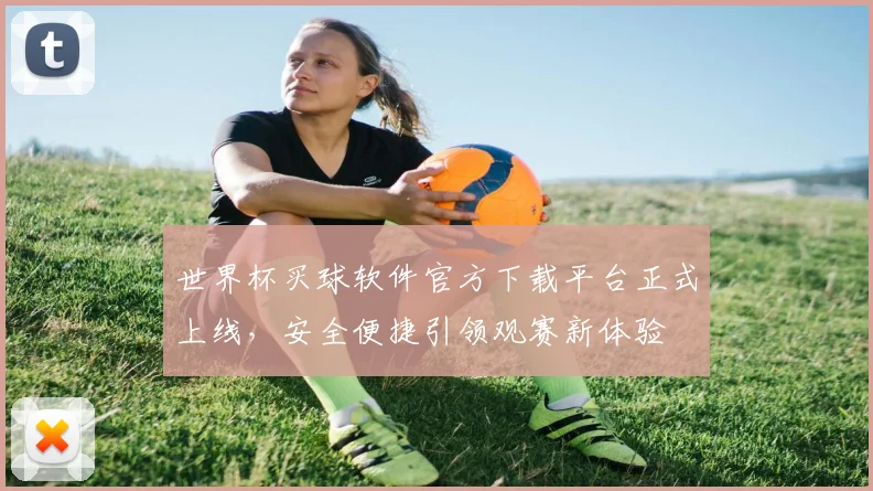 世界杯买球软件官方下载平台正式上线,安全便捷引领观赛新体验