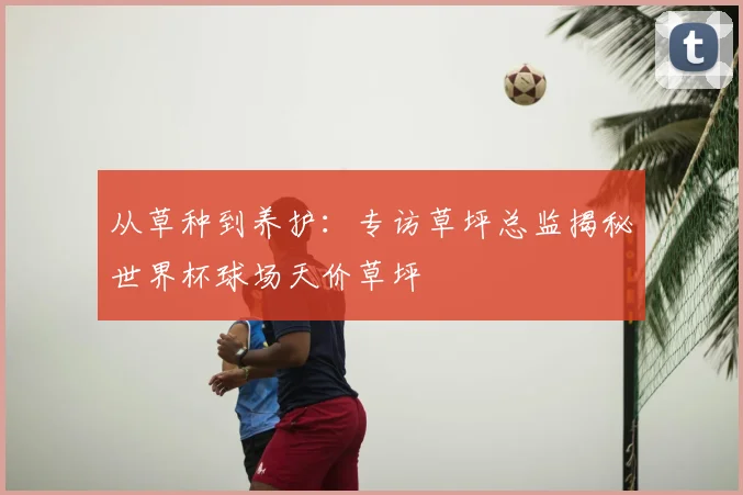 从草种到养护:专访草坪总监揭秘世界杯球场天价草坪