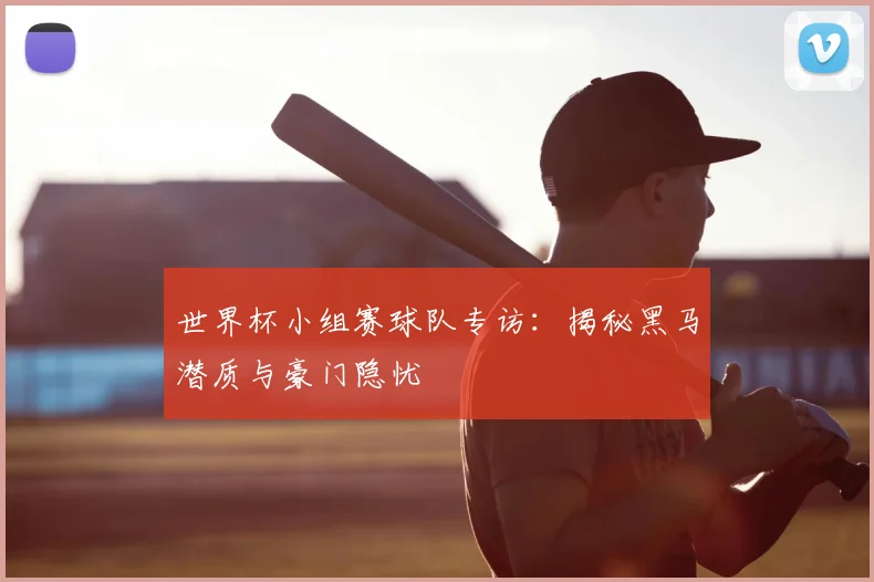 世界杯小组赛球队专访:揭秘黑马潜质与豪门隐忧