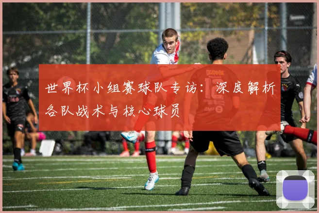 世界杯小组赛球队专访:深度解析各队战术与核心球员