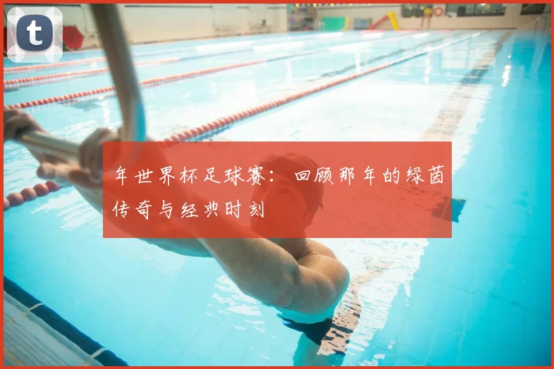 年世界杯足球赛:回顾那年的绿茵传奇与经典时刻