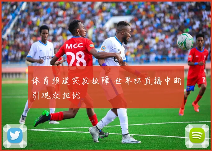 体育频道突发故障 世界杯直播中断引观众担忧