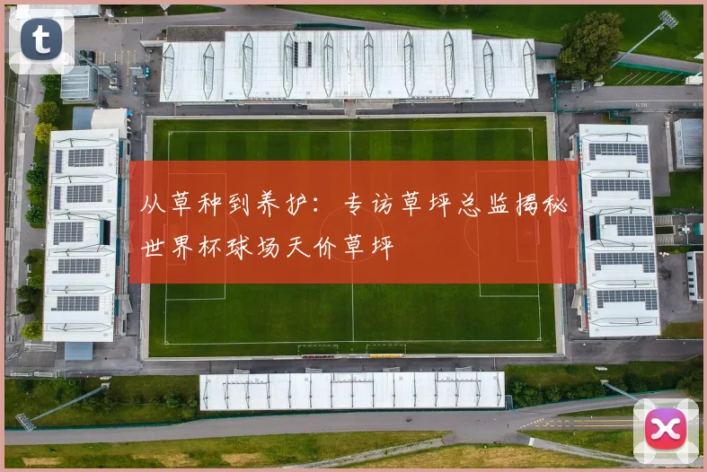 从草种到养护:专访草坪总监揭秘世界杯球场天价草坪