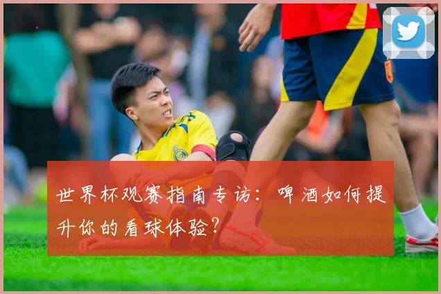 世界杯观赛指南专访:啤酒如何提升你的看球体验?