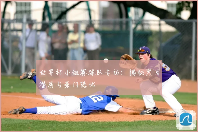 世界杯小组赛球队专访:揭秘黑马潜质与豪门隐忧