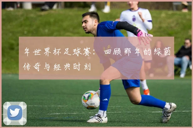 年世界杯足球赛：回顾那年的绿茵传奇与经典时刻