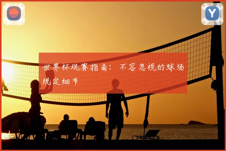 世界杯观赛指南:不容忽视的球场规定细节
