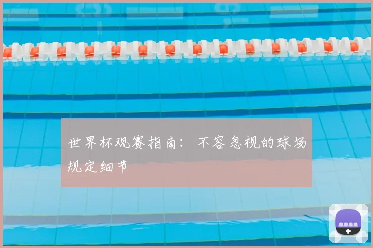 世界杯观赛指南:不容忽视的球场规定细节