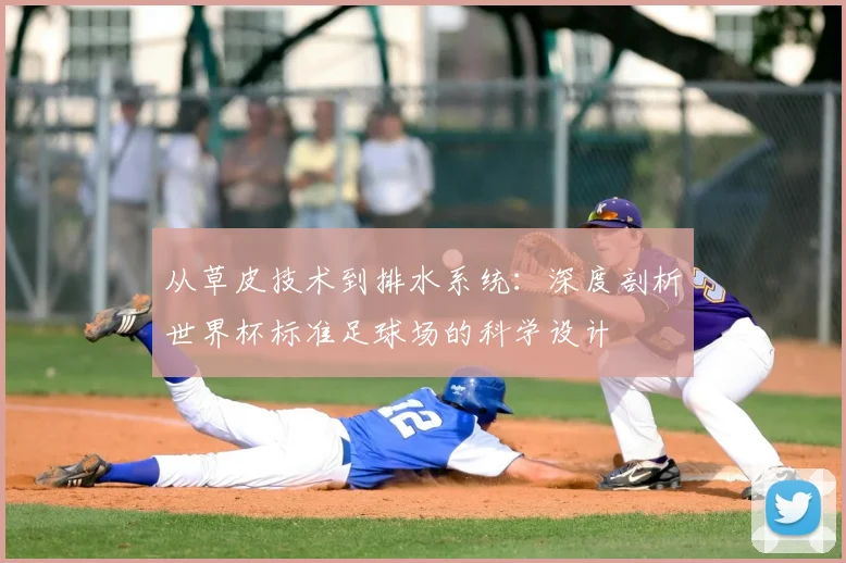 从草皮技术到排水系统:深度剖析世界杯标准足球场的科学设计