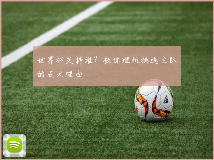 世界杯支持谁?教你理性挑选主队的五大理由